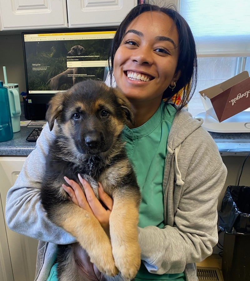 Veterinary Jobs in Stouffville