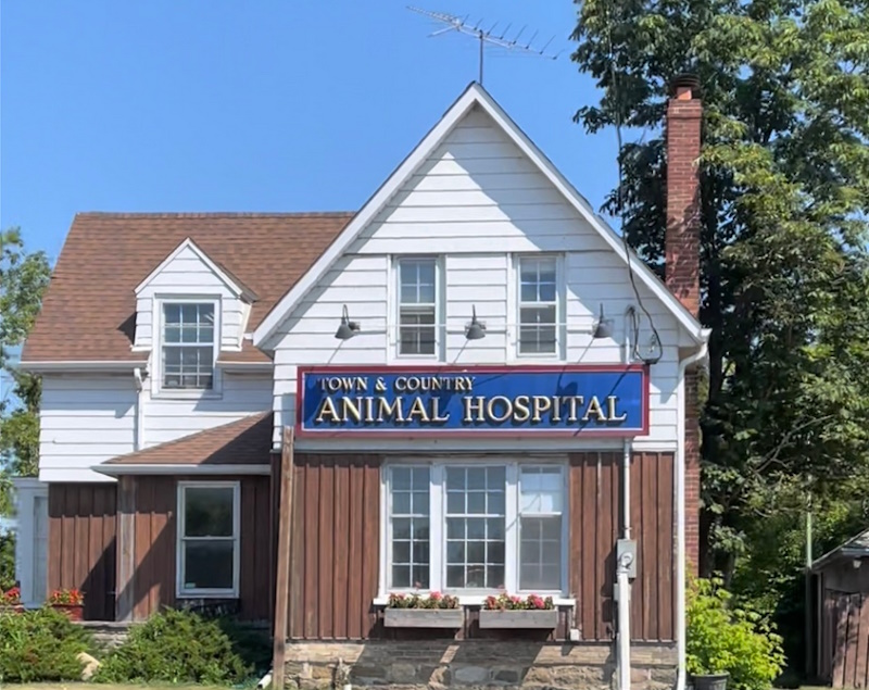 Town and Country Animal Hospital Stouffville Pet Hospital