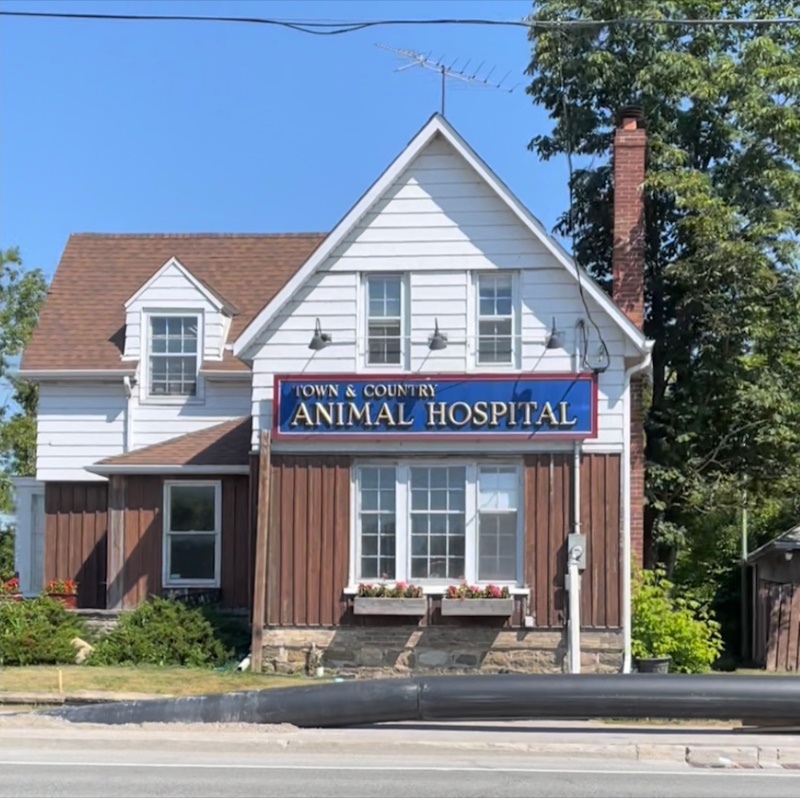 About Town and Country Animal Hospital in Stouffville, ON