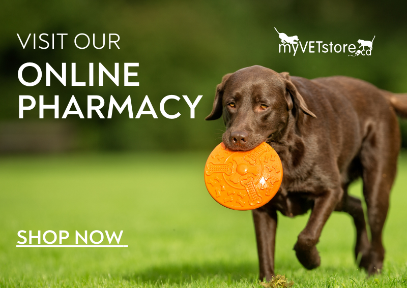 Carousel Slide 1: Shop Our Online Pharmacy