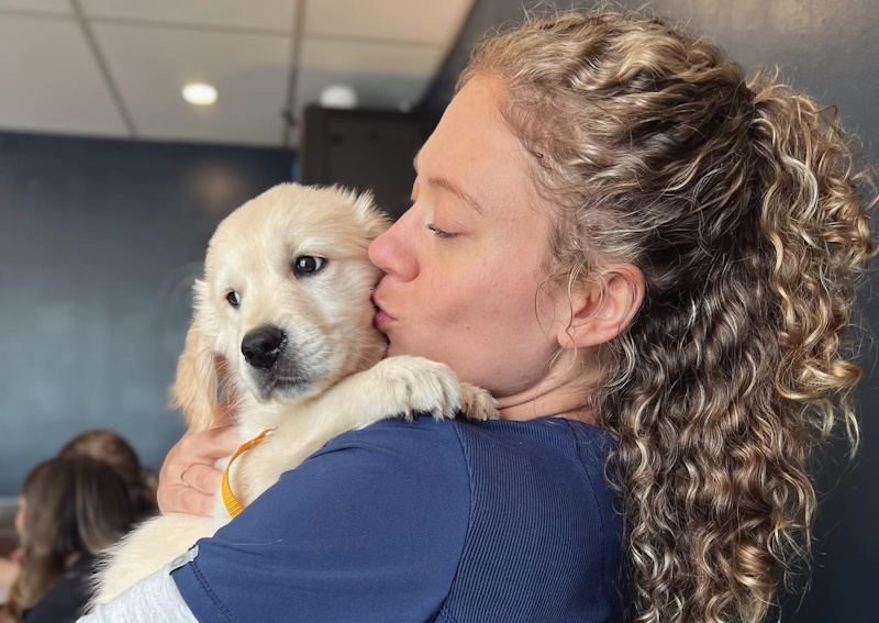 Carousel Slide 6: Meet our staff at Town & Country Animal Hospital!