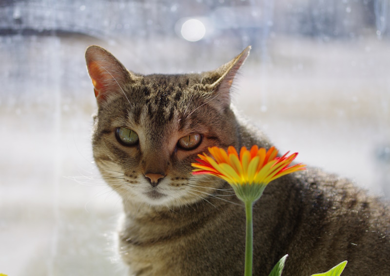 Carousel Slide 7: We offer a variety of diagnostic services