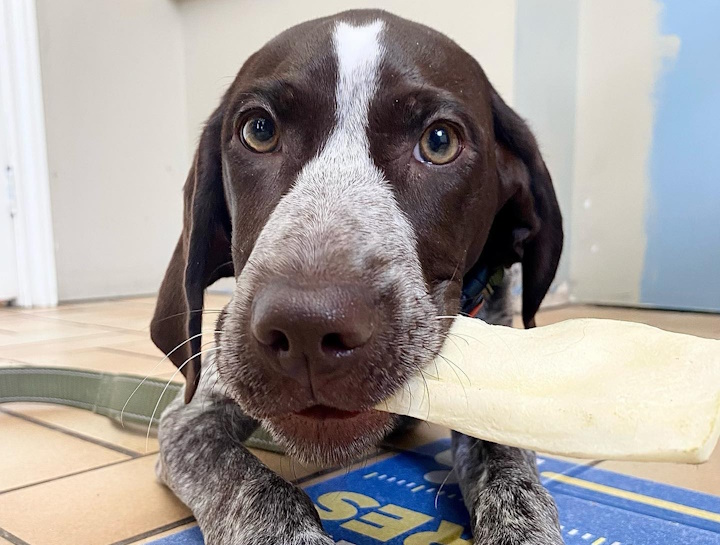 Preventive Dental Care